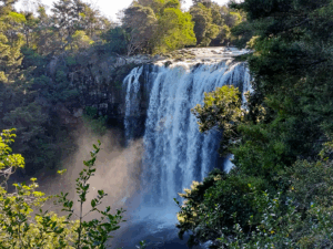 nz1