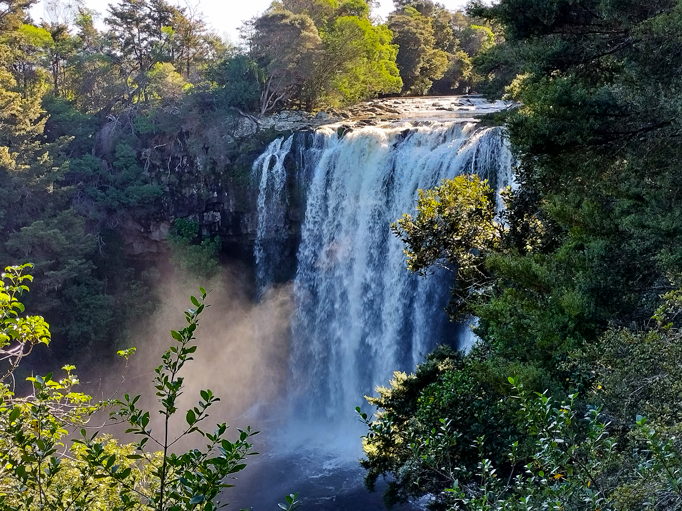 nz1